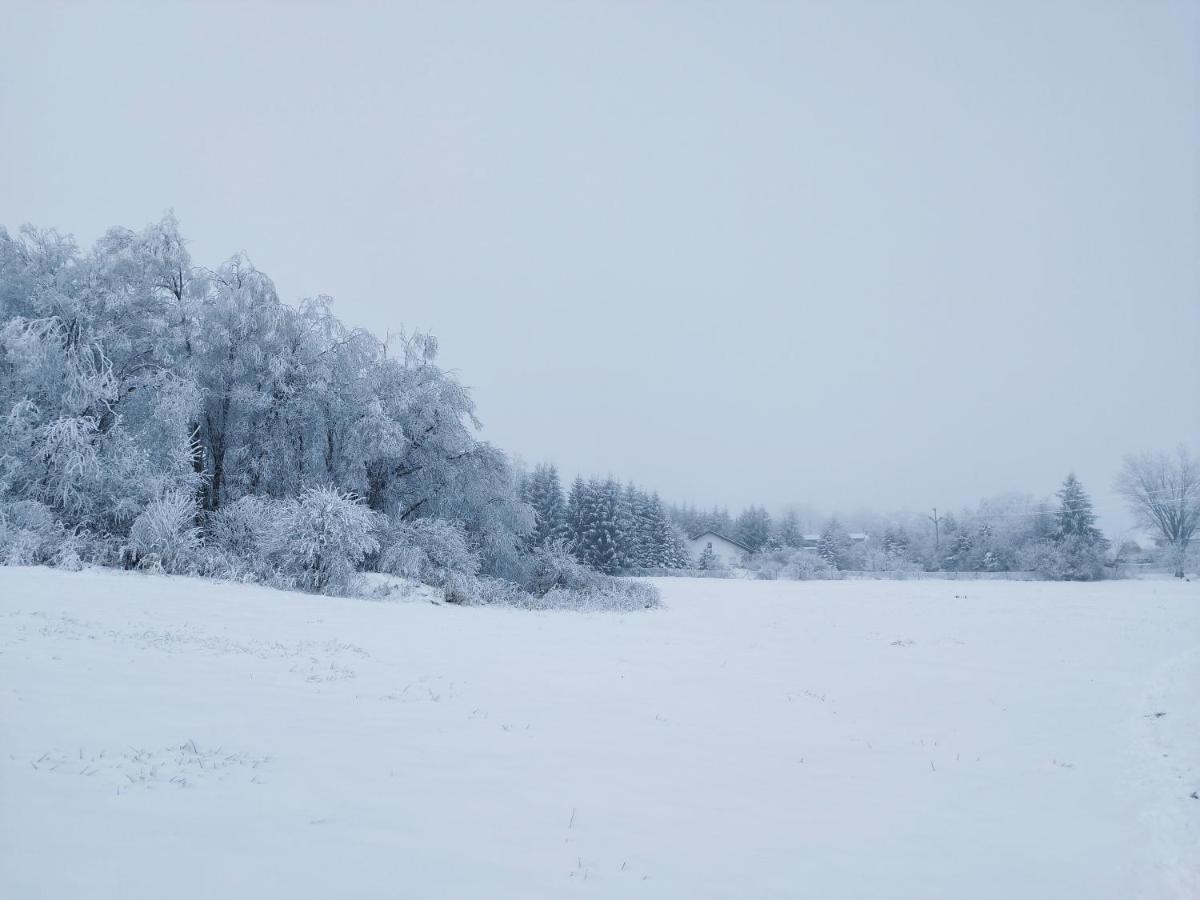 Penzion U Zpevaku Nove Hute Extérieur photo
