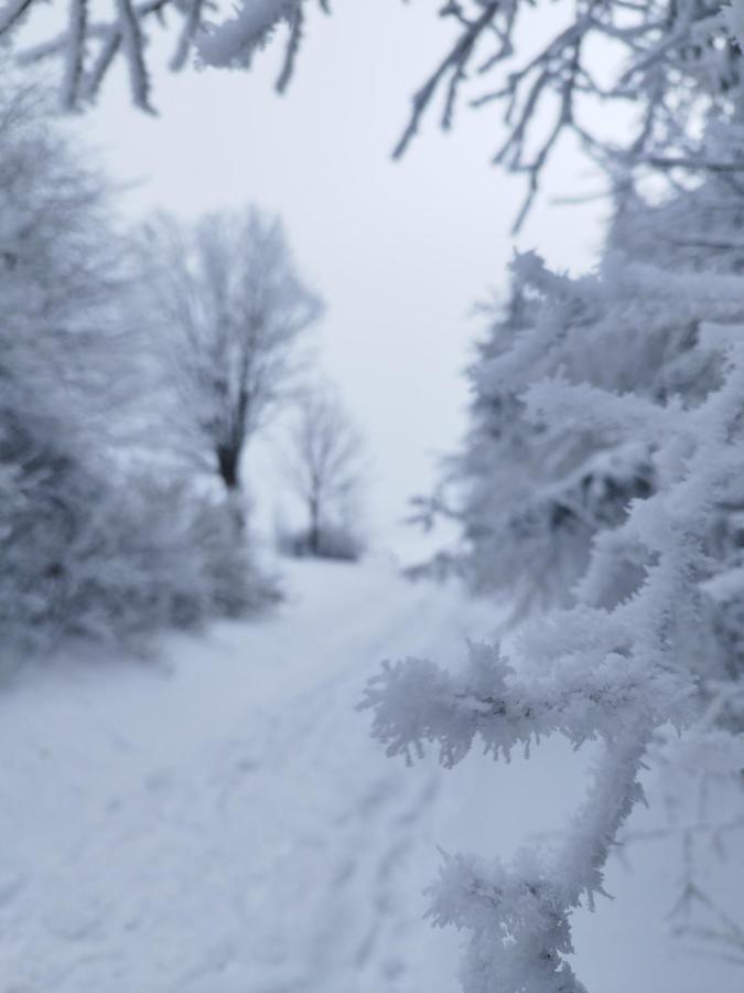 Penzion U Zpevaku Nove Hute Extérieur photo