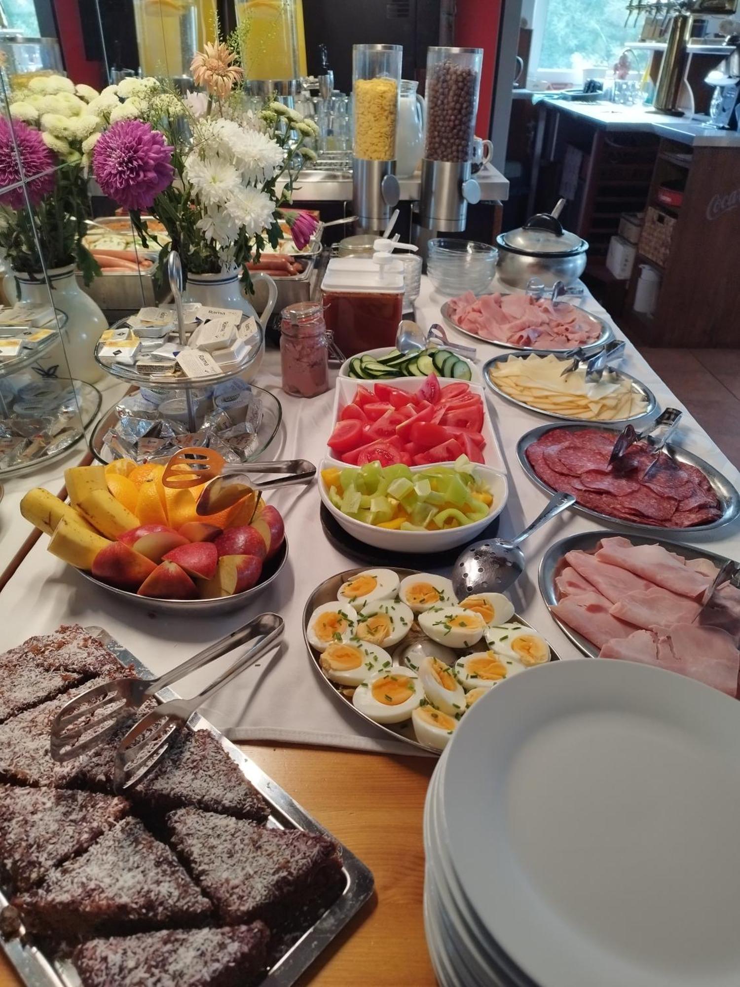Penzion U Zpevaku Nove Hute Extérieur photo